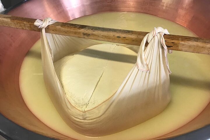 Parmigiano Cheese Factory Visit and Tasting