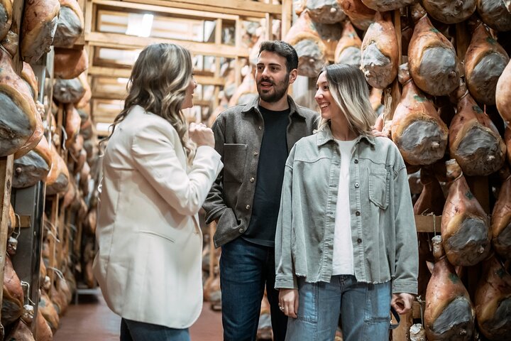 Parmigiano Reggiano, Parma Ham and Castle Private Tour & Tasting